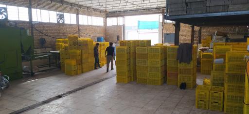 عکس خشکبار موسوی