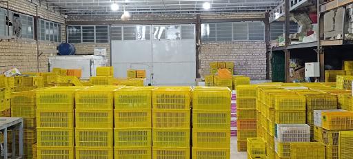 عکس خشکبار موسوی