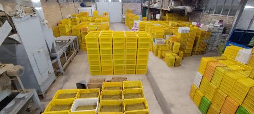 عکس خشکبار موسوی