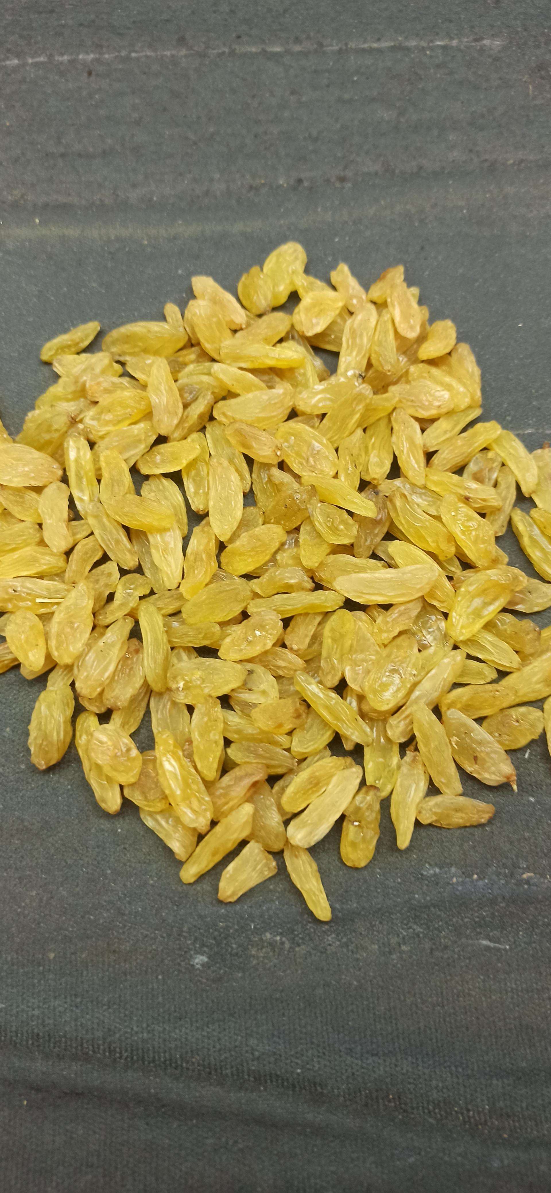 عکس خشکبار موسوی