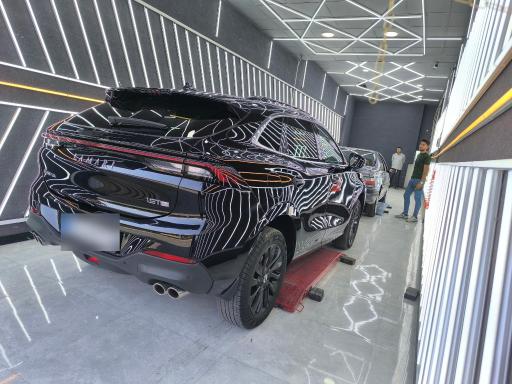 عکس کارشناسی و تشخیص رنگ کارن