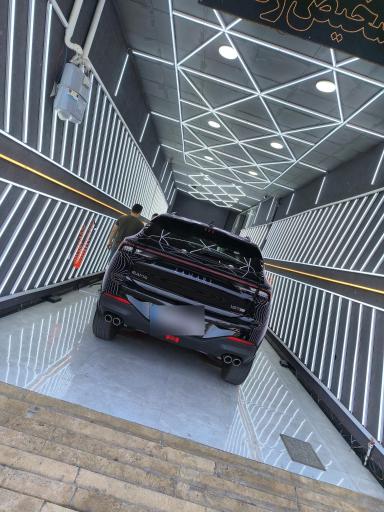 عکس کارشناسی و تشخیص رنگ کارن