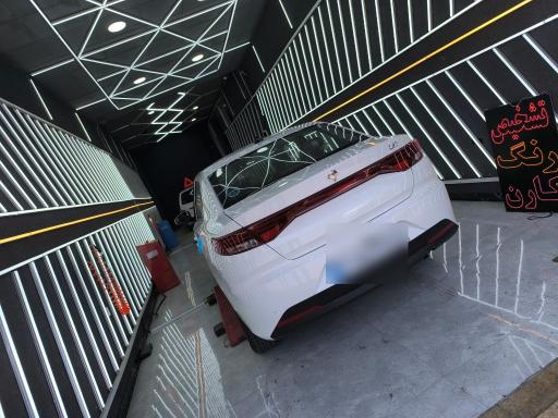 عکس کارشناسی و تشخیص رنگ کارن