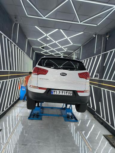 عکس کارشناسی و تشخیص رنگ کارن