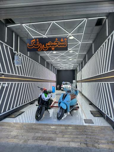 عکس کارشناسی و تشخیص رنگ کارن