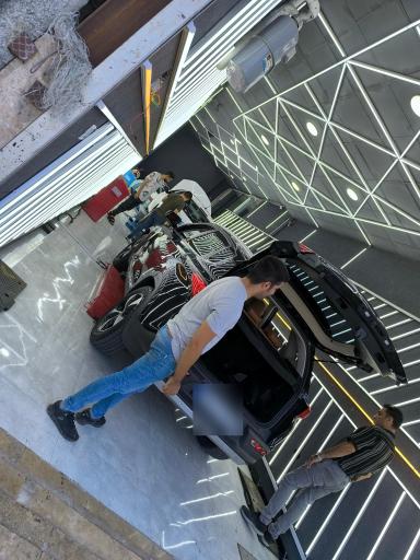 عکس کارشناسی و تشخیص رنگ کارن