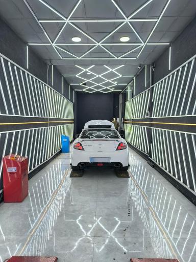 عکس کارشناسی و تشخیص رنگ کارن