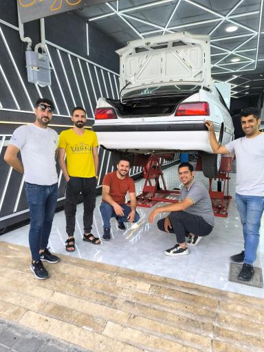 عکس کارشناسی و تشخیص رنگ کارن