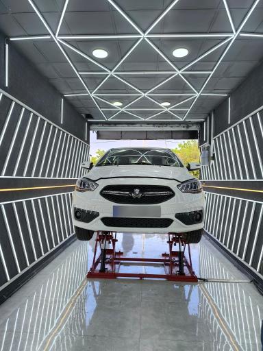 عکس کارشناسی و تشخیص رنگ کارن