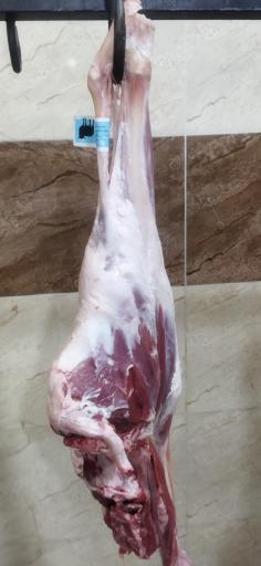 عکس سوپر گوشت دهوجی