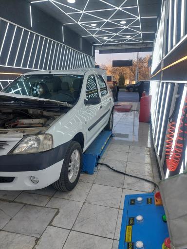 عکس کارشناسی و تشخیص رنگ کارن