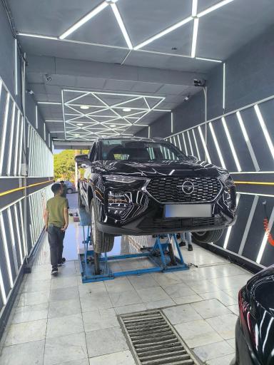 عکس کارشناسی و تشخیص رنگ کارن