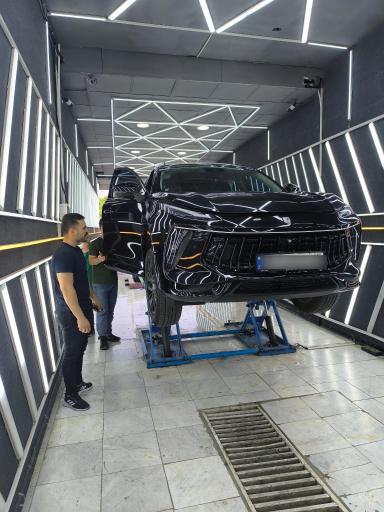 عکس کارشناسی و تشخیص رنگ کارن