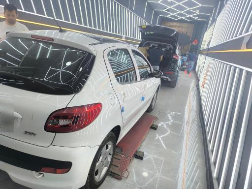 عکس کارشناسی و تشخیص رنگ کارن