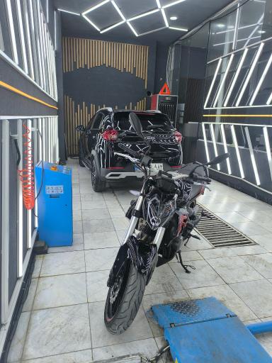 عکس کارشناسی و تشخیص رنگ کارن