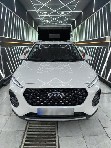 عکس کارشناسی و تشخیص رنگ کارن