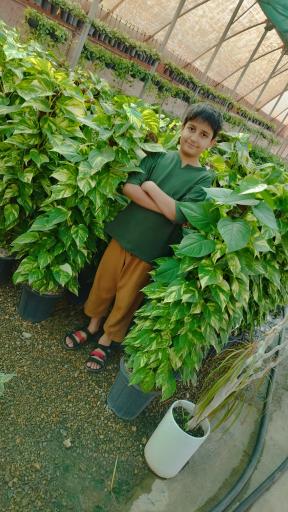 عکس دهکده گل شاهان