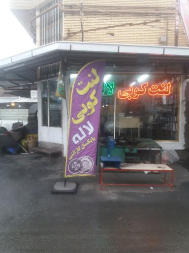 عکس لنت کوبی لاله