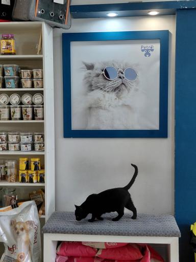 عکس کلینیک حیوانات خانگی دکتر خلخالی