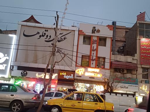 عکس عکاسی دوقلوها