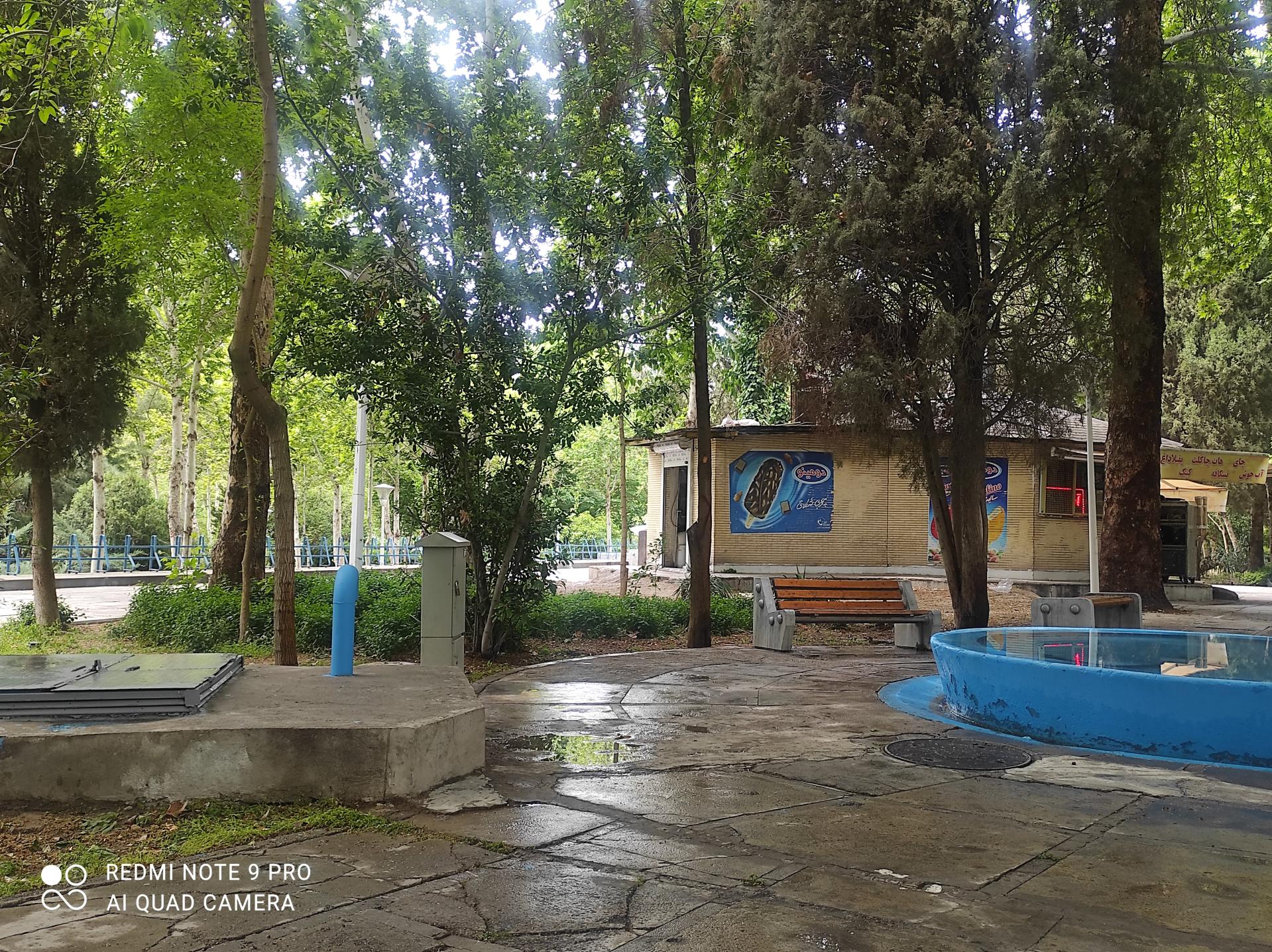 عکس بستنی و آبمیوه پارک 