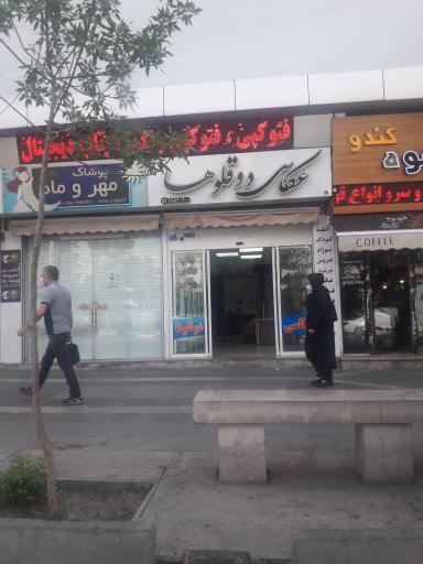 عکس عکاسی دوقلوها