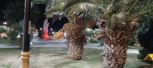 عکس میدان امام علی (ع)سمنان