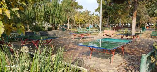 عکس میز پینگ پنگ