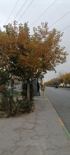 عکس ایستگاه اتوبوس هدایت 16