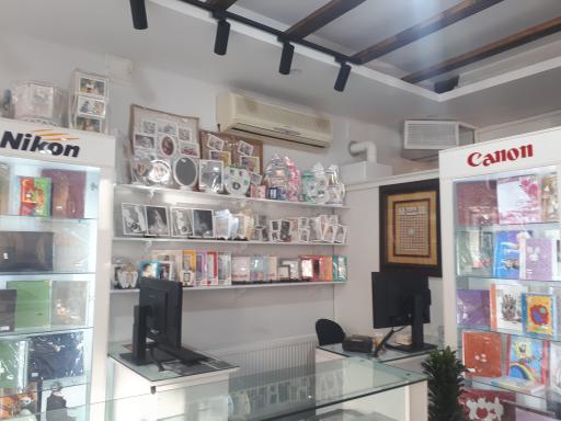 عکس عکاسی دوقلوها