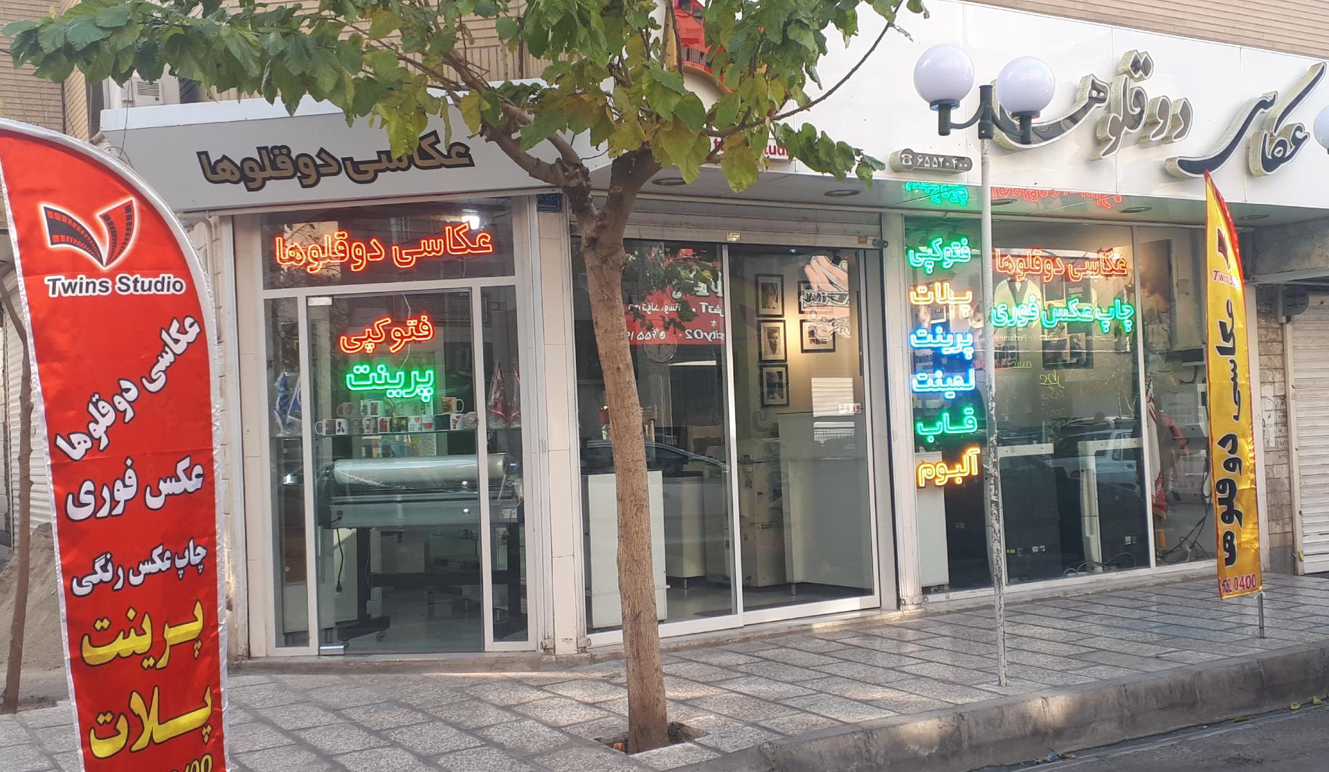 عکس عکاسی دوقلوها