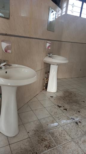 عکس زمین بازی یاس