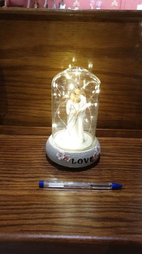 عکس گالری شانل