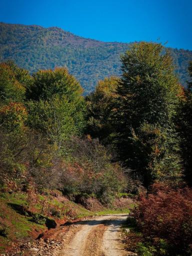 عکس رحیم آباد