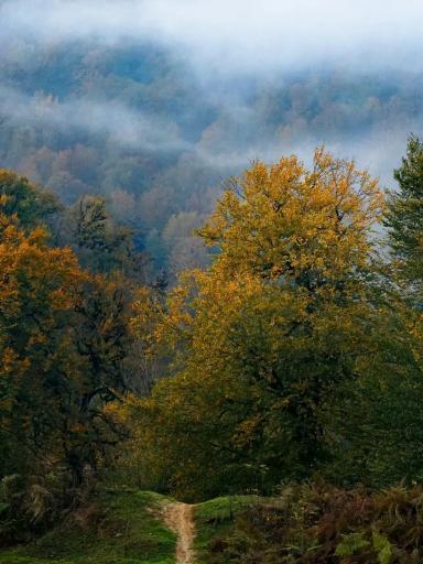 عکس رحیم آباد