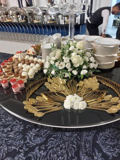 عکس تالار قصر عقیق