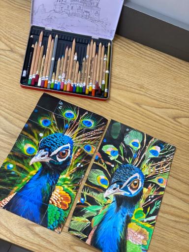 عکس گالری نقاشی مینل