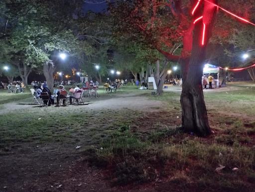 عکس باغ توت