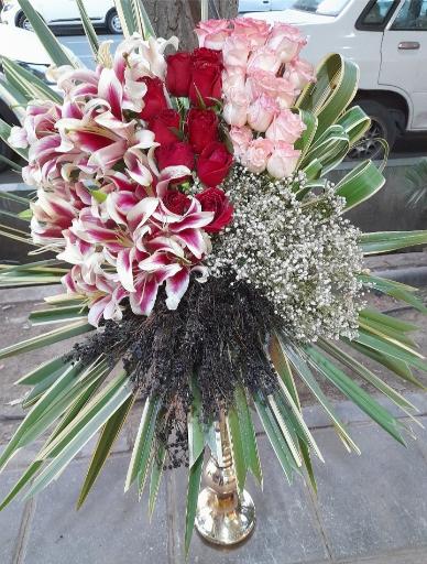 عکس گل ونوس