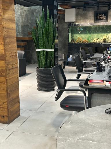 کارگزاری املاک چاوشی