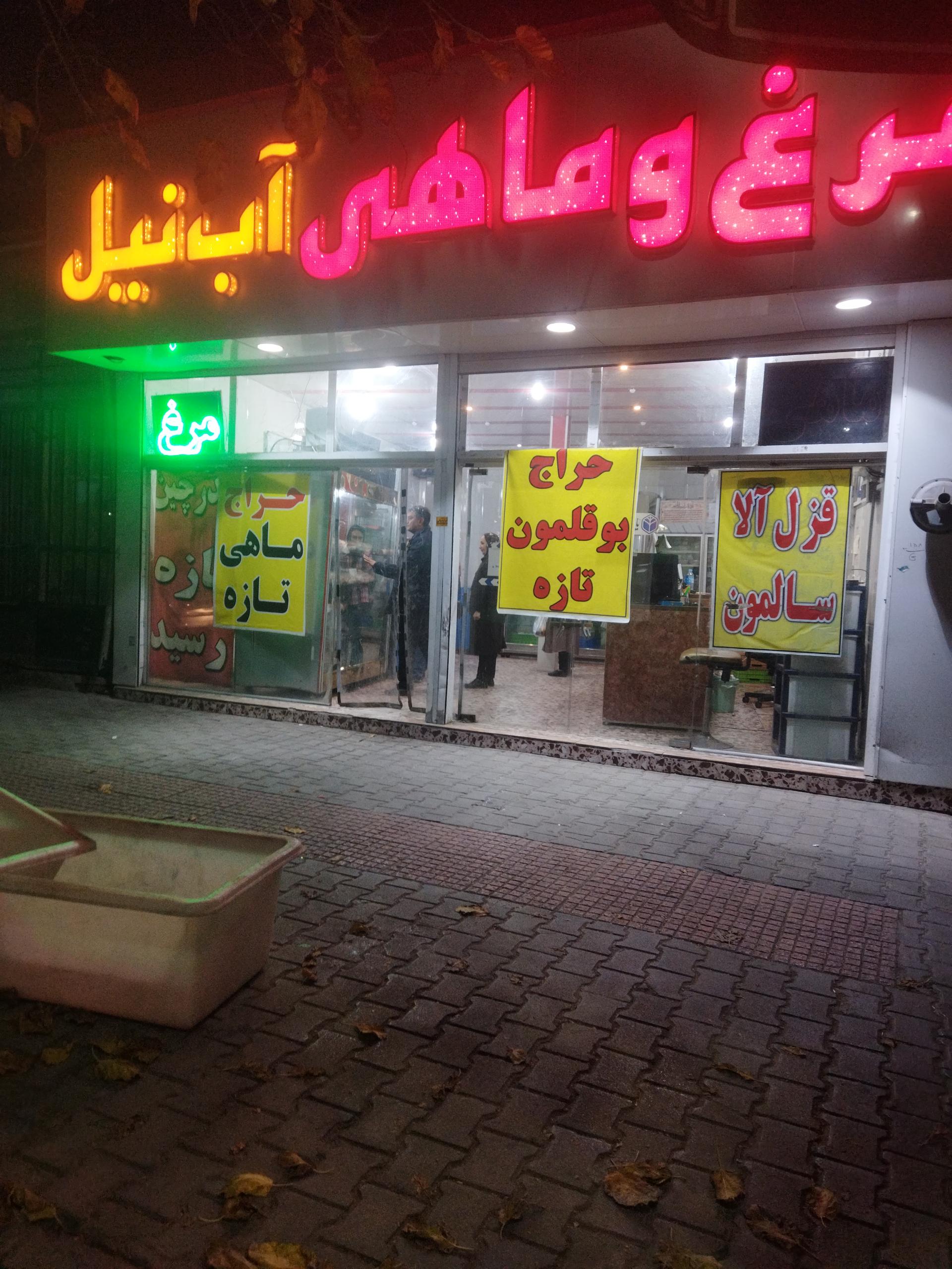 عکس مرغ و ماهی آب نیل