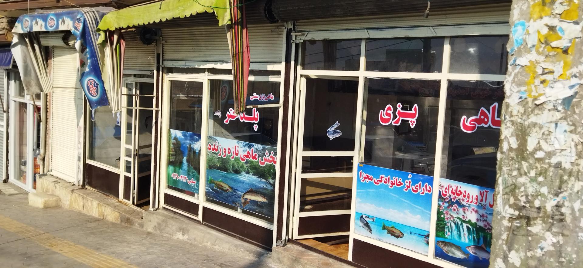 عکس ماهی پزی پل دختر