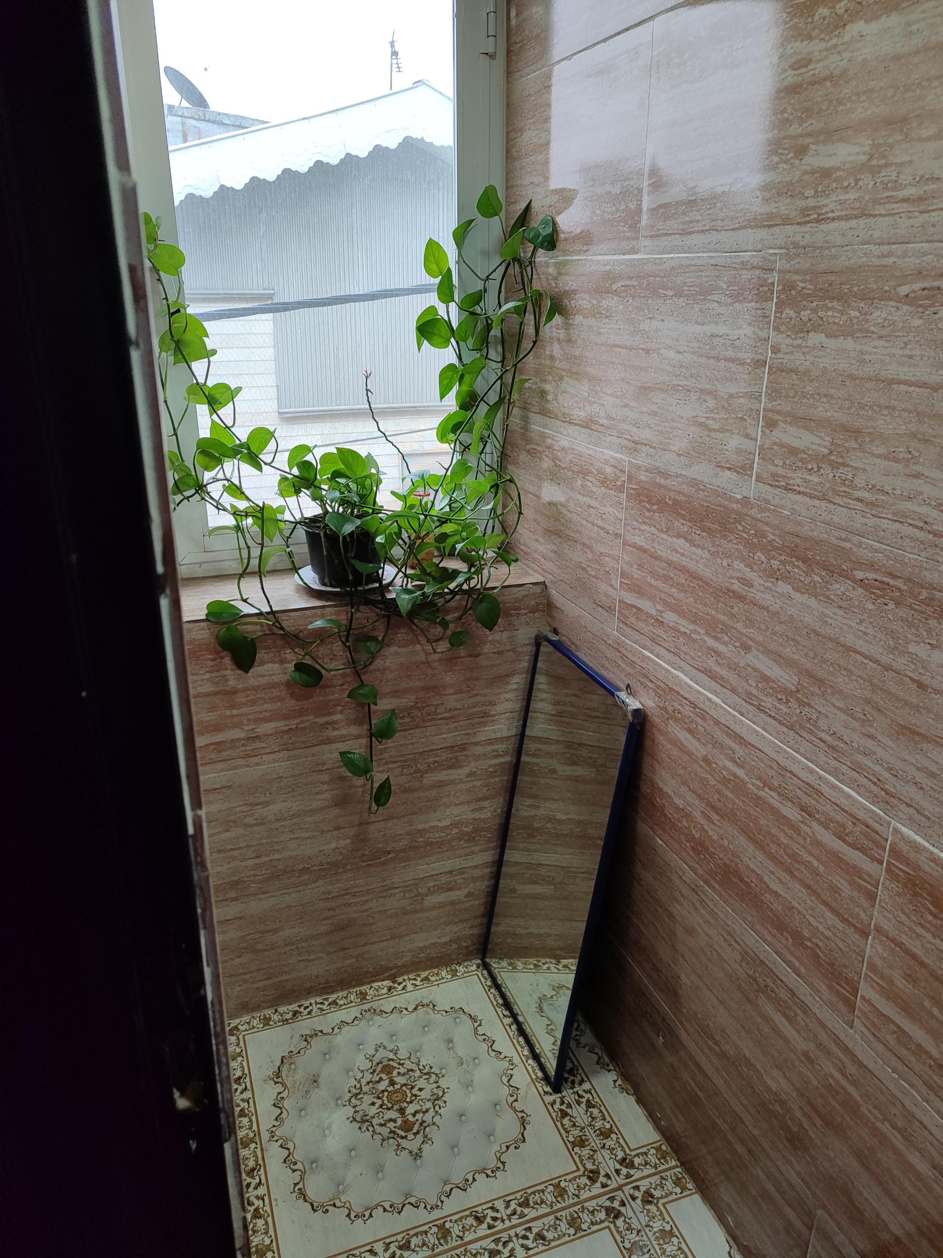 عکس اقامتگاه امجدی