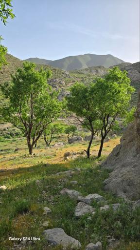 عکس کلاته ملو