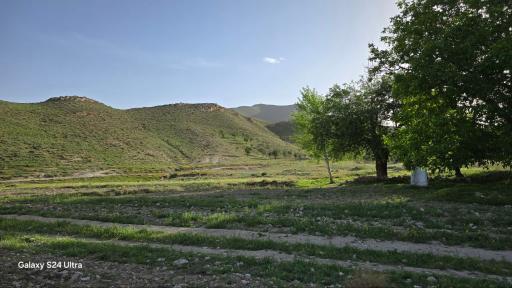عکس کلاته ملو