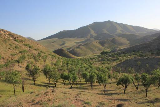 عکس کلاته ملو