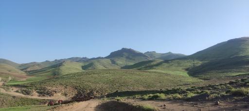 عکس سرخه دیزج