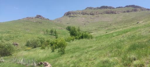عکس سرخه دیزج