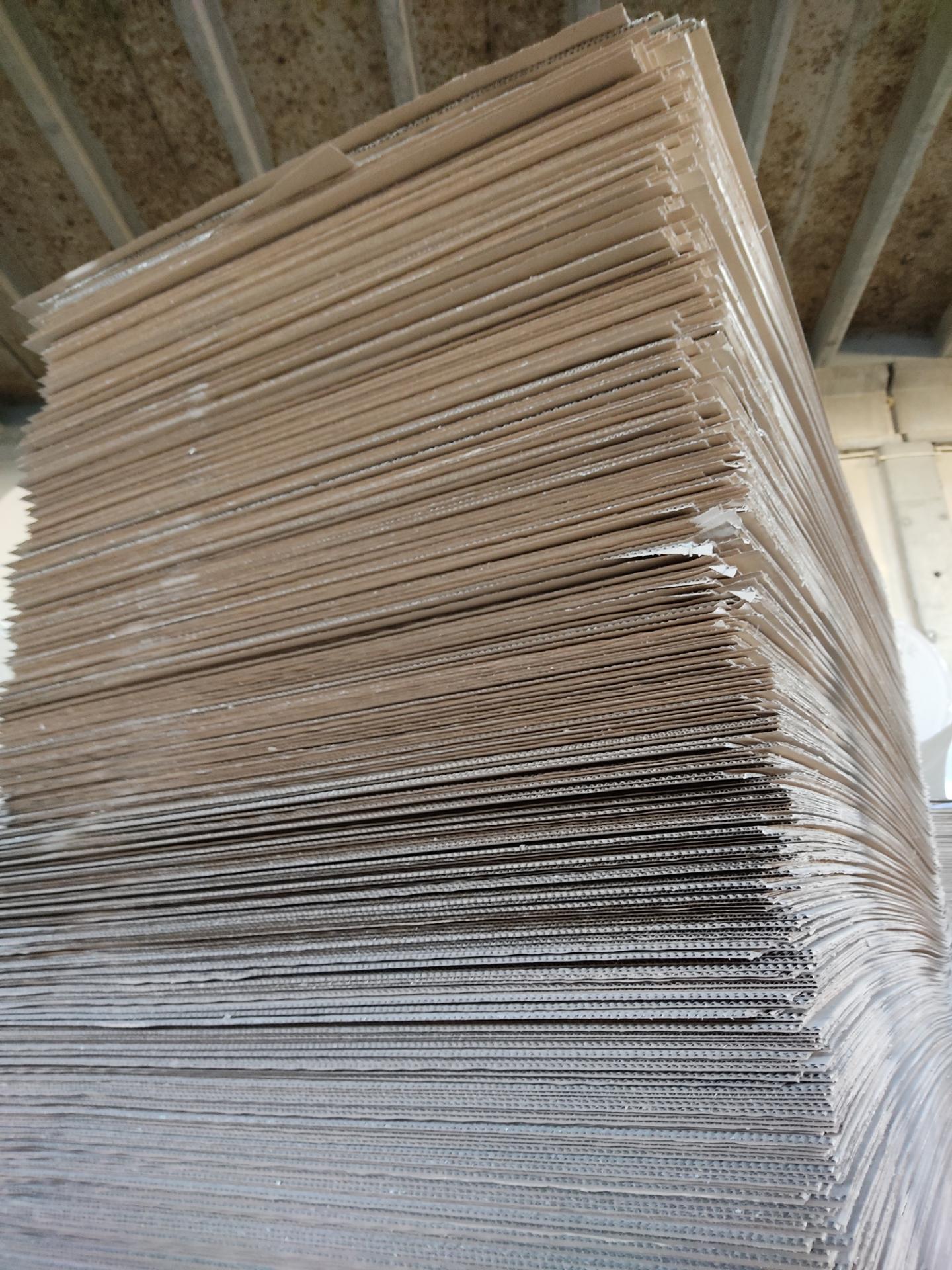 عکس تک سان کارتن