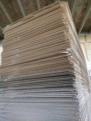 عکس تک سان کارتن